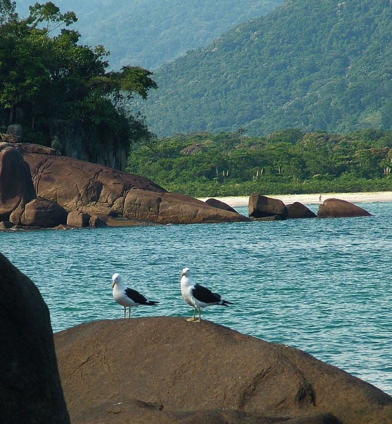 Chalé aconchegante a 50m da Praia - Ubatumirim